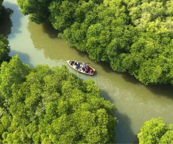Puducherry 3-Day Sightseeing & Pichavaram Mangrove Forest Tour