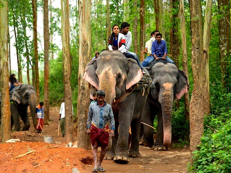 Kerala Tour