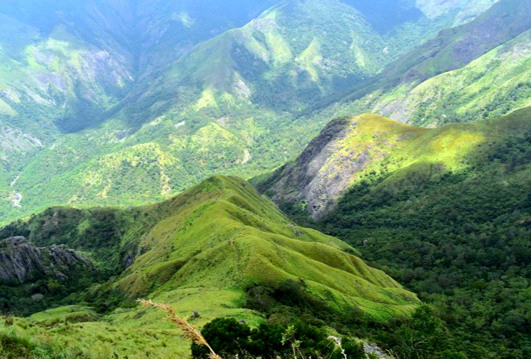 Kerala Tour