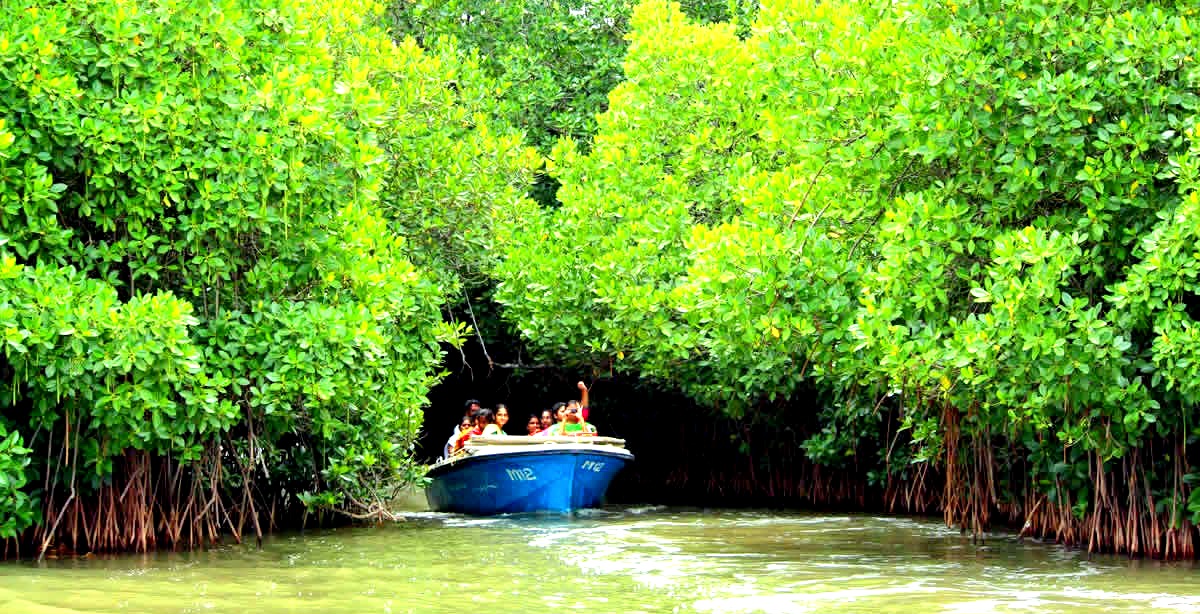 Pondicherry Tour