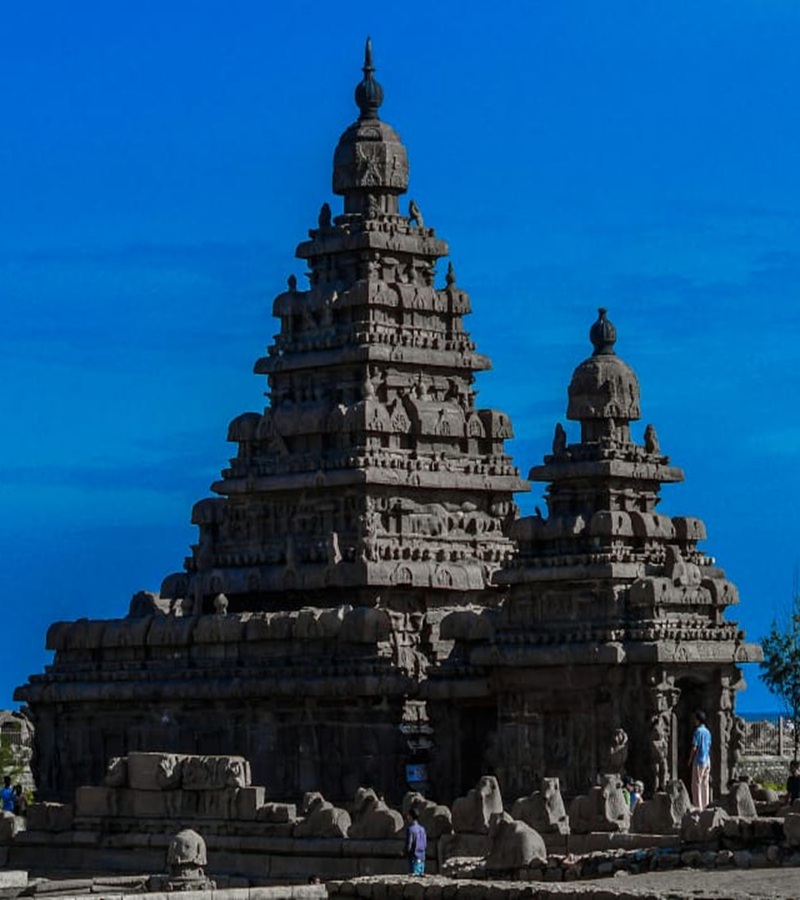 Tamil Nadu Tour