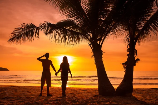 5ygj8k0ad27vm3c23uath4p7y9ay_shutterstock_590398376